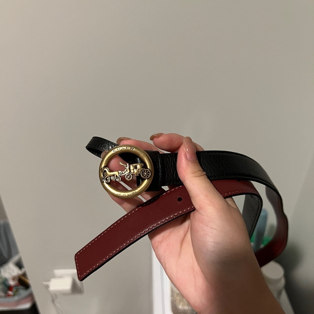 Coach belt